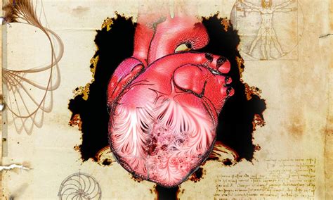  Journey into the Heart of Medicine: Unveiling the Enigma of the Human Body